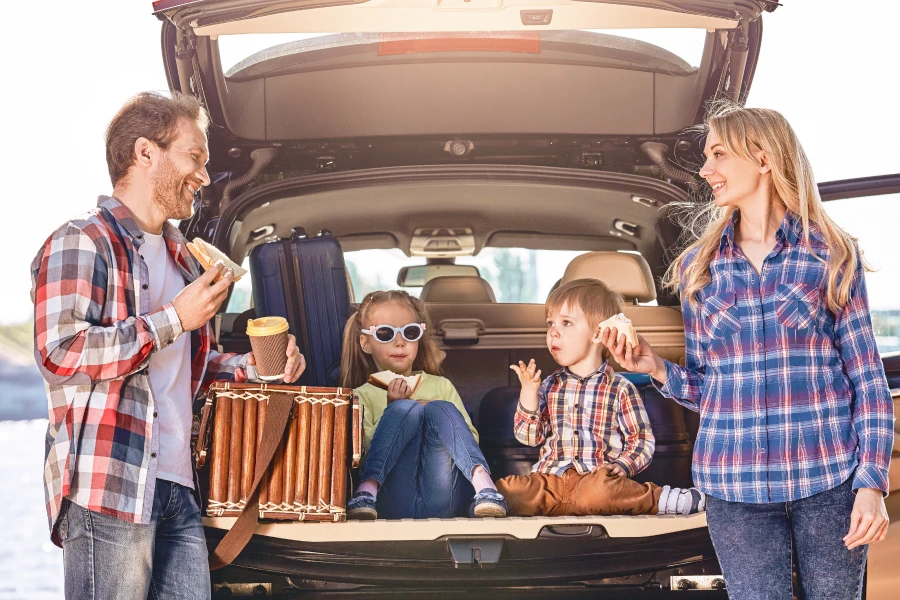 car trunk organizer featured 1