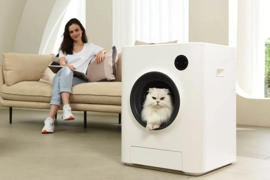 automatic kitten litter box