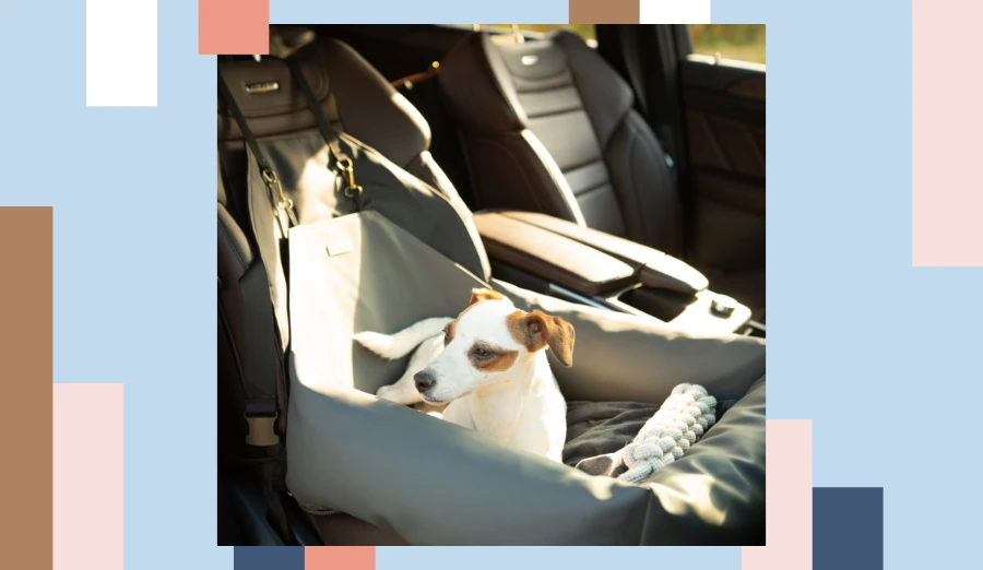 dog travel car seat